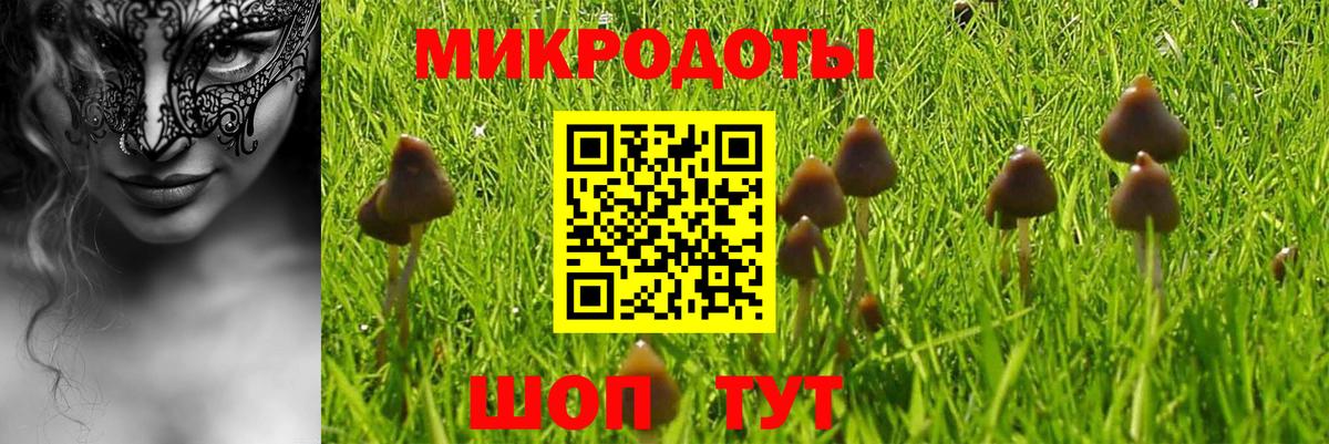Псилоцибиновые грибы мицелий Семёнов